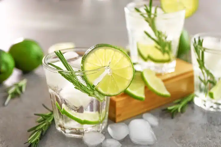 Lækker og forfriskende opskrift på Gin Hass